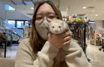 家族が決まりましたに関する記事一覧 | FERRET WORLD